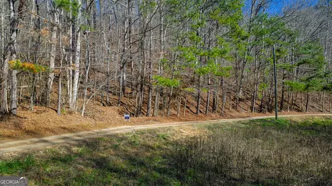 0 Rambling Rd, Fairmount, GA 30139 photo 9