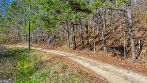 0 Rambling Rd, Fairmount, GA 30139 photo 10