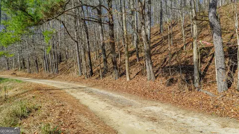 0 Rambling Rd, Fairmount, GA 30139 photo 11