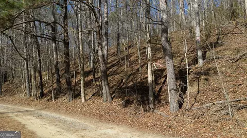 0 Rambling Rd, Fairmount, GA 30139 photo 12