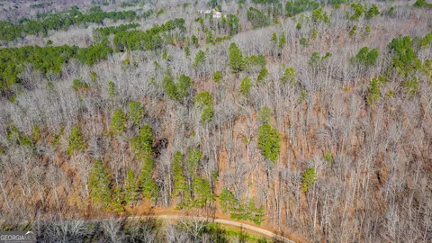 0 Rambling Rd, Fairmount, GA 30139 photo 7