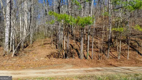 0 Rambling Rd, Fairmount, GA 30139 photo 5