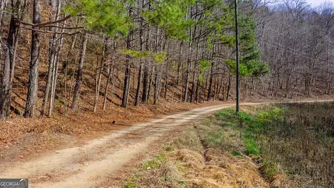 0 Rambling Rd, Fairmount, GA 30139 photo 4