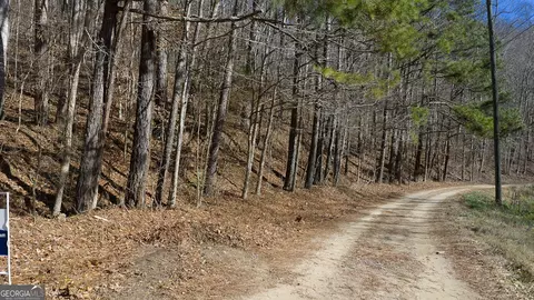 0 Rambling Rd, Fairmount, GA 30139 photo 14