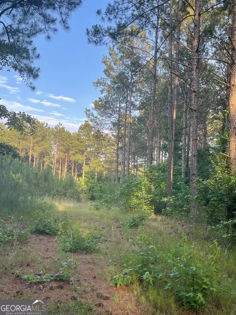 0 Callaway Rd, Rayle, GA 30660 photo 12
