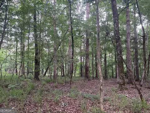 0 Callaway Rd, Rayle, GA 30660 photo 14