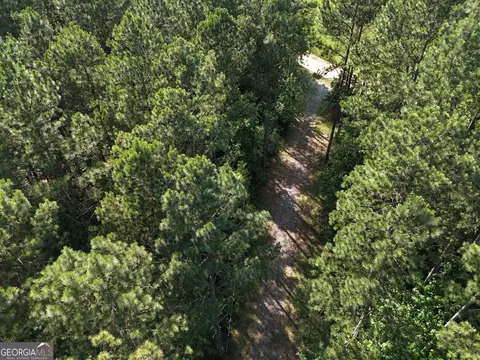 0 Callaway Rd, Rayle, GA 30660 photo 9
