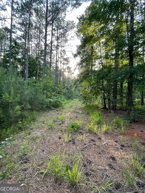 0 Callaway Rd, Rayle, GA 30660 photo 11