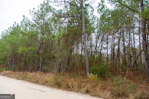 0 Victory Cir, Lyons, GA 30436 photo 11