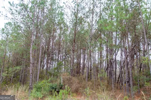 0 Victory Cir, Lyons, GA 30436 photo 15