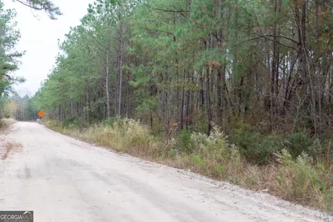 0 Victory Cir, Lyons, GA 30436 photo 16