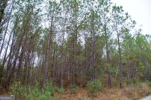 0 Victory Cir, Lyons, GA 30436 photo 10