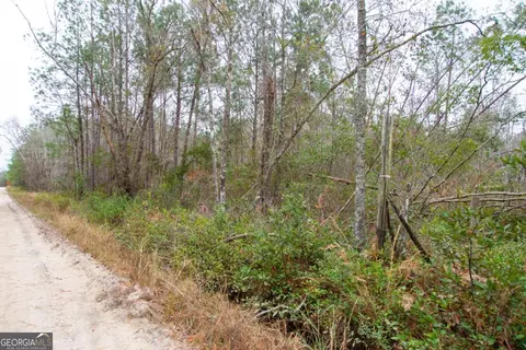 0 Victory Cir, Lyons, GA 30436 photo 18