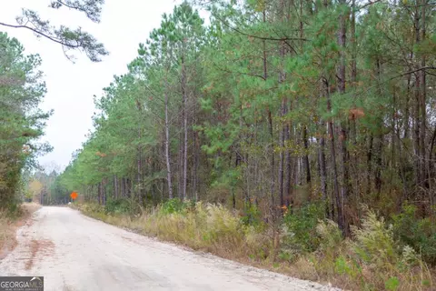 0 Victory Cir, Lyons, GA 30436 photo 14