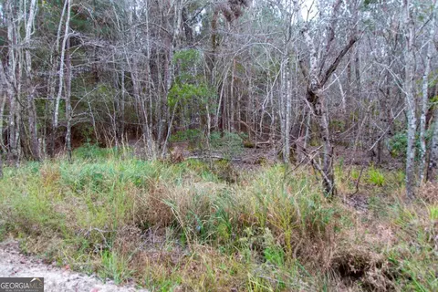 0 Victory Cir, Lyons, GA 30436 photo 13