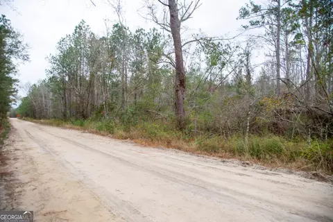 0 Victory Cir, Lyons, GA 30436 photo 19