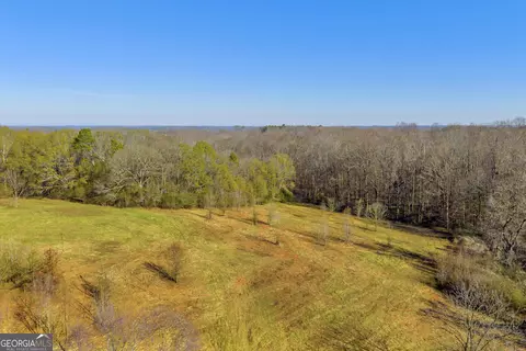 Other - 7660 Sandy Cross Rd, Carnesville, GA 30521 photo 15 of 37