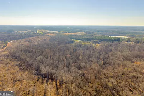 Other - 7660 Sandy Cross Rd, Carnesville, GA 30521 photo 11 of 37