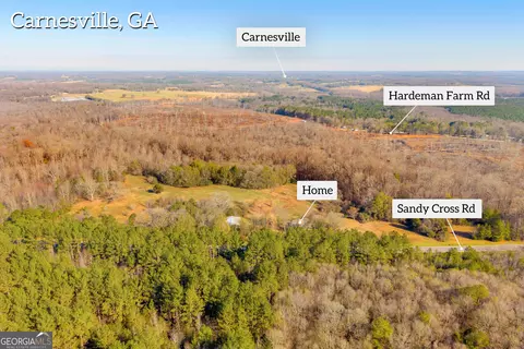View/Area - 7660 Sandy Cross Rd, Carnesville, GA 30521 photo 2 of 18