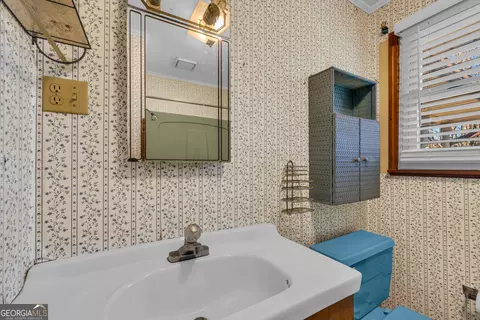 Bath - 7660 Sandy Cross Rd, Carnesville, GA 30521 photo 2 of 4
