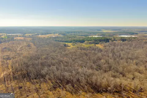 View/Area - 7660 Sandy Cross Rd, Carnesville, GA 30521 photo 6 of 18