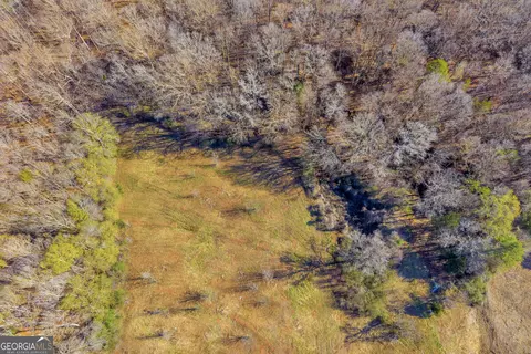View/Area - 7660 Sandy Cross Rd, Carnesville, GA 30521 photo 15 of 18