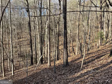 2458 Montage Dr #2458, Ellijay, GA 30540