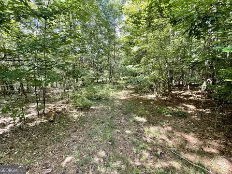 393 Harmony Gates Dr, Commerce, GA 30530 photo 13