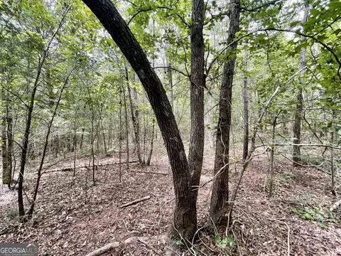 393 Harmony Gates Dr, Commerce, GA 30530 photo 14