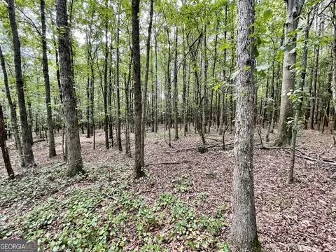 393 Harmony Gates Dr, Commerce, GA 30530 photo 19