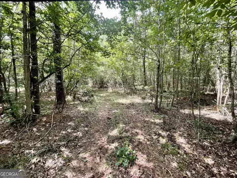 393 Harmony Gates Dr, Commerce, GA 30530 photo 21