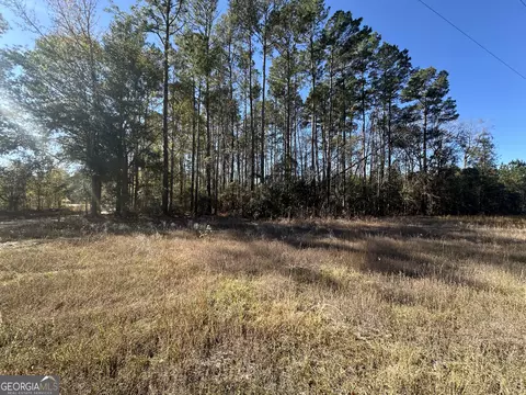 0 Halcyondale Loop, Sylvania, GA 30467 photo 9