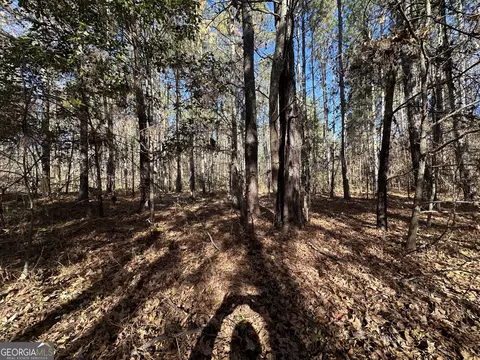 0 Halcyondale Loop, Sylvania, GA 30467 photo 8