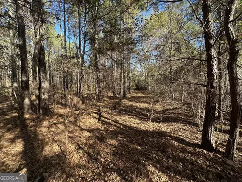 0 Halcyondale Loop, Sylvania, GA 30467 photo 6