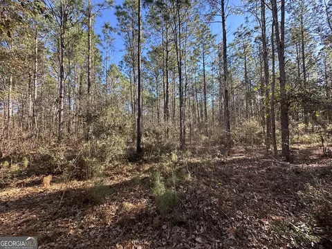 0 Halcyondale Loop, Sylvania, GA 30467 photo 2