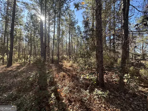 0 Halcyondale Loop, Sylvania, GA 30467 photo 3