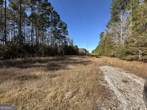 0 Halcyondale Loop, Sylvania, GA 30467 photo 10
