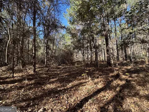 0 Halcyondale Loop, Sylvania, GA 30467 photo 7
