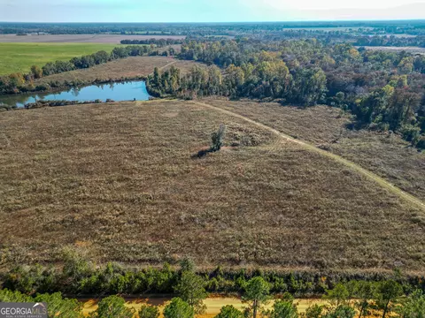 0 William Avera Rd, Morgan, GA 39866