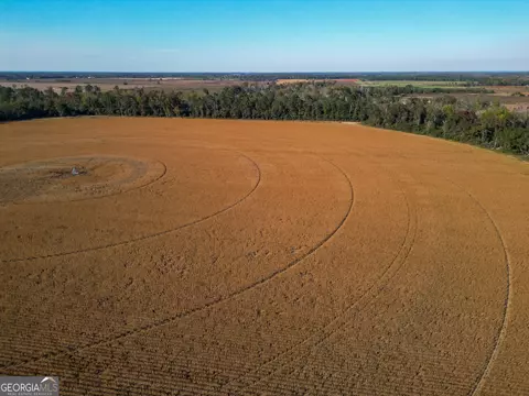 0 Buck Rd, Morgan, GA 39866