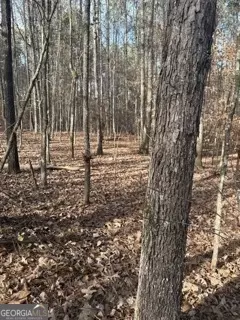 0 Hillview Rd, Hampton, GA 30228 photo 3