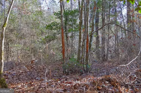 0 Limestone Rd, Cochran, GA 31014 photo 5