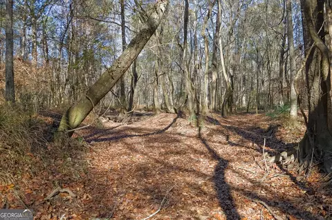0 Limestone Rd, Cochran, GA 31014 photo 26