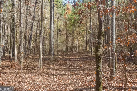0 Limestone Rd, Cochran, GA 31014 photo 40