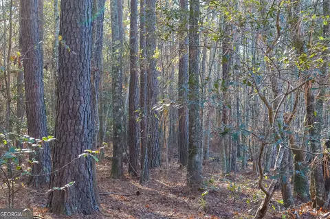 0 Limestone Rd, Cochran, GA 31014 photo 4