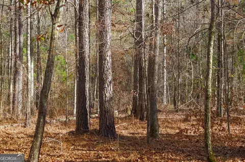 0 Limestone Rd, Cochran, GA 31014 photo 38
