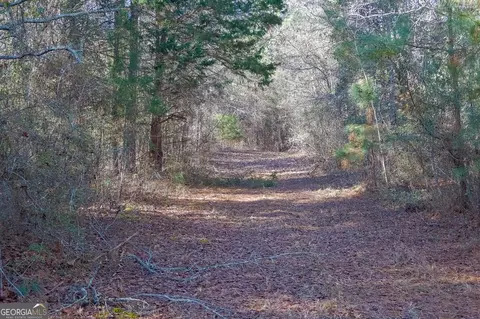 0 Limestone Rd, Cochran, GA 31014 photo 30
