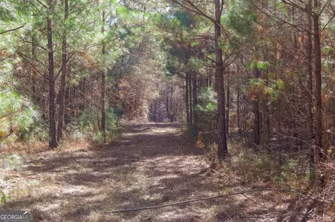 0 Limestone Rd, Cochran, GA 31014 photo 42