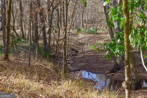 0 Limestone Rd, Cochran, GA 31014 photo 36
