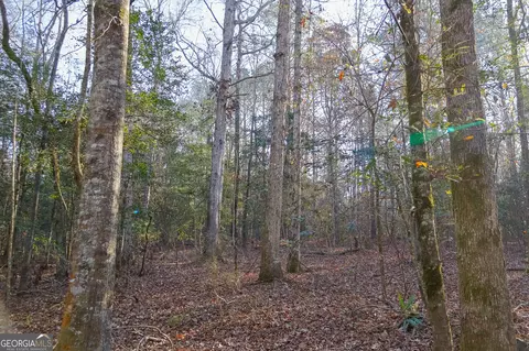 0 Limestone Rd, Cochran, GA 31014 photo 12